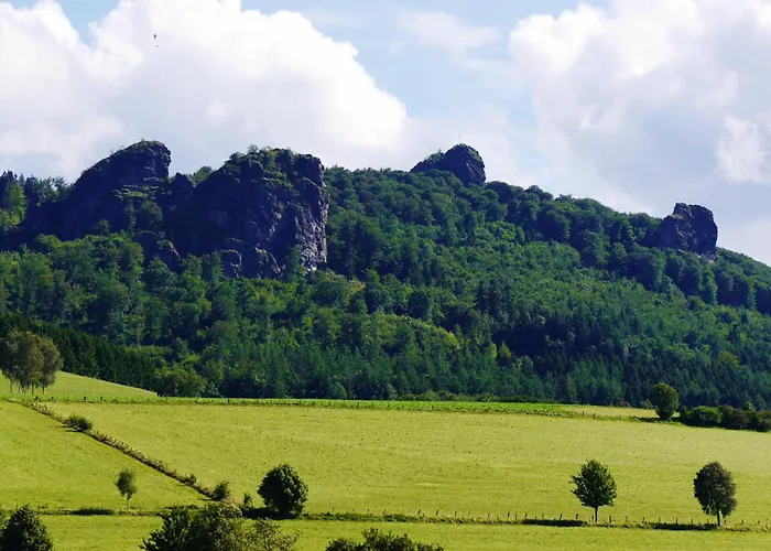 Hammerhuette Σπίτι διακοπών Willingen (Upland)