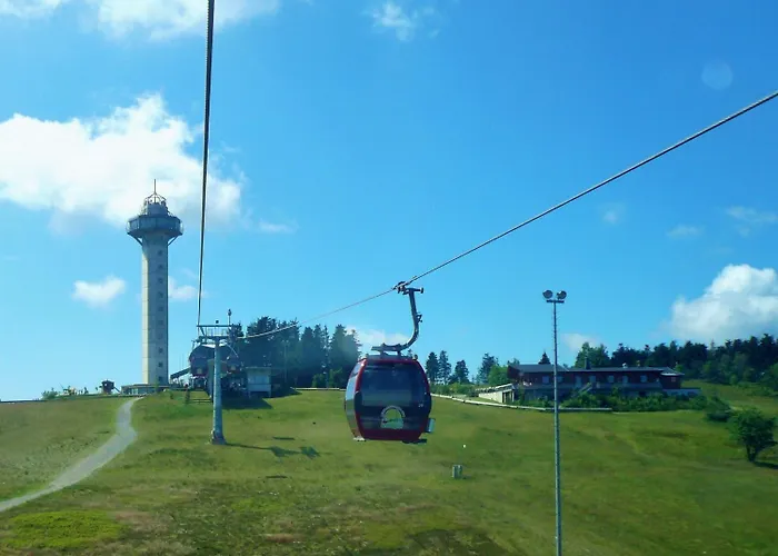 Hammerhuette Σπίτι διακοπών Willingen (Upland)